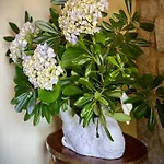 Quinta Da Boa Viagem Country house Viana do Castelo