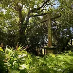 Country house Quinta Da Boa Viagem