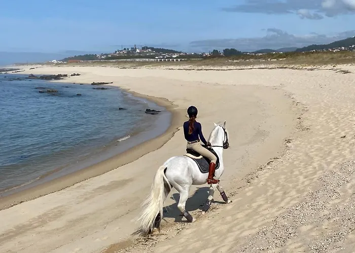 Quinta Da Boa Viagem