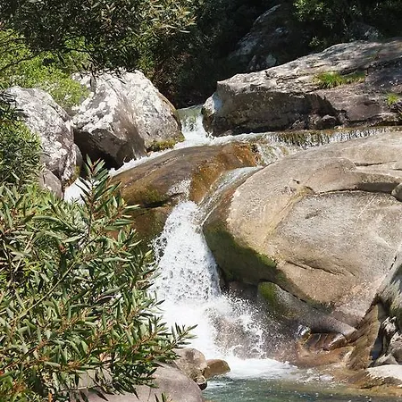 Gospodarstwo wiejskie Quinta Da Boa Viagem *