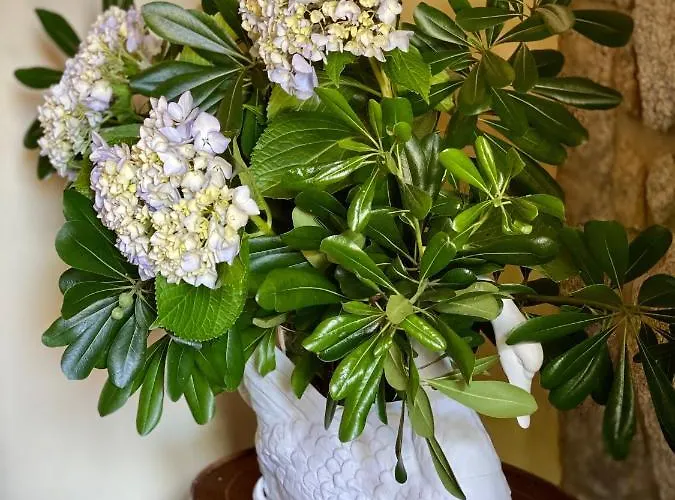 Quinta Da Boa Viagem Летний дом Виана-ду-Каштелу